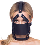 Head Harness with gag