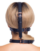 Head Harness with gag