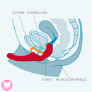 Share - Double Dildo