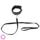 Vegan Collar and Leash