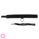 Collar and Flogger