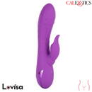 California Dreaming Valley Vamp