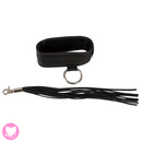 Collar and Flogger