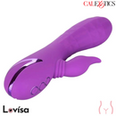 California Dreaming Valley Vamp