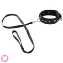 Vegan Collar and Leash