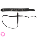 Vegan Collar and Leash