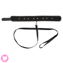 Vegan Collar and Leash
