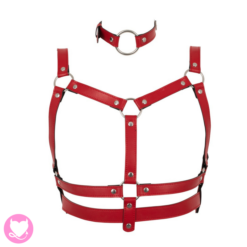 Red Harness Set
