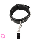 Vegan Collar and Leash