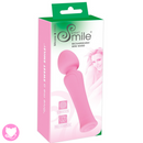 Rechargeable Mini Wand